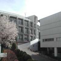 Hikaru Utada Seisen International School, American School in Japan