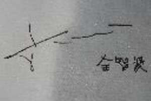 Jun Ji-hyun Signature