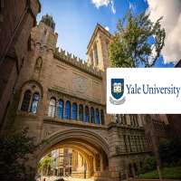 Joy Bryant Yale University