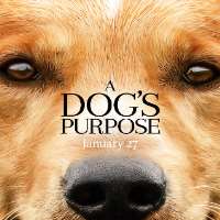 KarinaOMG Favourite Movie A Dog's Purpose (2017)