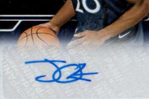 Josh Okogie Signature