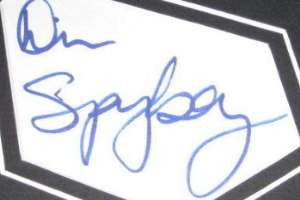 Dina Spybey Signature