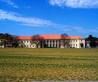 Jack Thompson Sydney Boys High School
