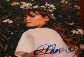 Dina Shihabi Signature