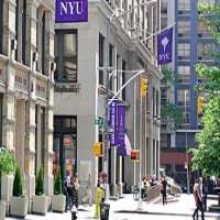 Molly Shannon New York University