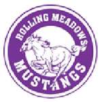 Sebastian Maniscalco Rolling Meadows High School