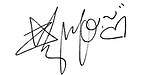 Kim Hyo Yeon Signature