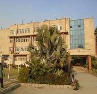 Shivin Narang Summer Fields School, New Delhi