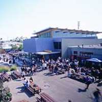 Alden Ehrenreich Palisades Elementary School Crossroads School