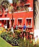 Namita Dubey Lady Shri Ram College for Women, New Delhi Tata Institute of Social Sciences, Mumbai (Social Work)