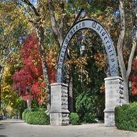 Greta Lee Northwestern University