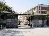 Rashmika Mandanna Coorg Public School (COPS), Kodagu