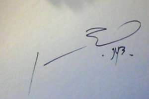 Johnny Yong Bosch Signature