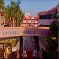 Pratik Parihar Krishna Public School, Bhilai