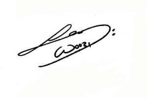Woozi Signature