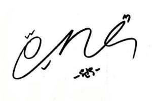 Wonwoo Signature