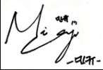 Kim Mingyu Signature