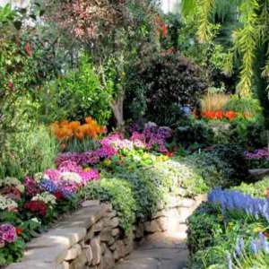 Allan Gardens