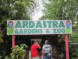 Ardastra Gardens, Zoo and Conservation Park History, Travel Information ...