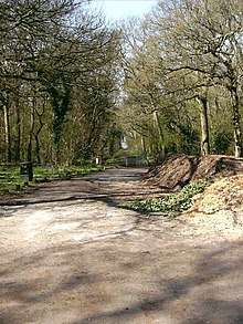 Bradley Woods
