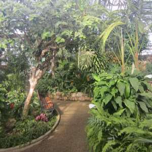 Centennial Conservatory