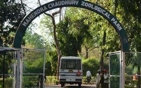 Chhatbir Zoo