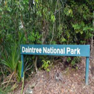 Daintree National Park
