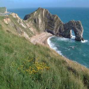 Dorset and East Devon Coast