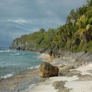 Henderson Island