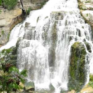 Inglis Falls Arboretum