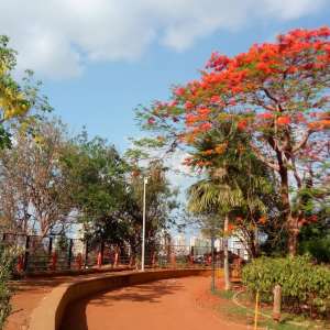 Joseph Baptista Garden