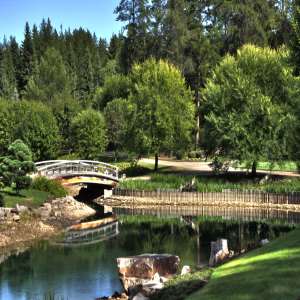 Lauber Arboretum