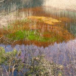 Midoro Pond