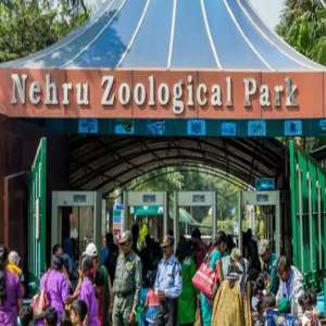 Nehru Zoological Park History, Hotels, Amenities, Fare, Facts And More ...