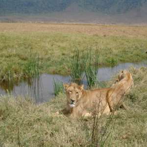 Ngorongoro Conservation Area