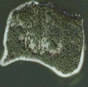 Omenainen