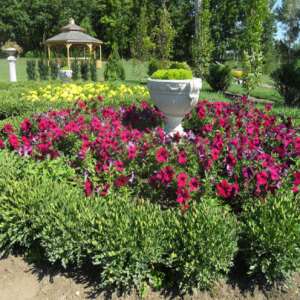 Quinte Botanical Garden