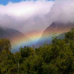 Rainforests of the Atsinanana