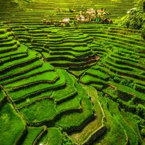 Rice Terraces of the Philippine Cordilleras