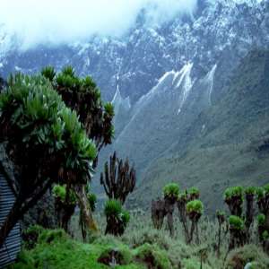 Rwenzori Mountains National Park