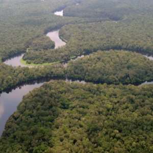 Salonga National Park