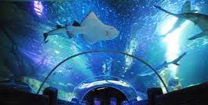 Sea Life Center, Blackpool