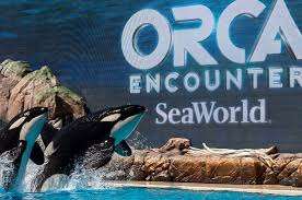 SeaWorld San Diego