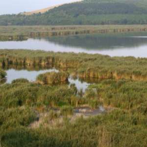 Srebarna Nature Reserve