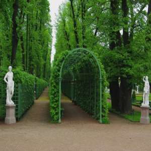 Summer Garden