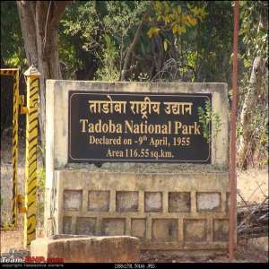 Tadoba National Park