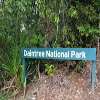 Daintree National Park