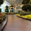 Devonian Gardens Calgary