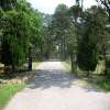 Eureka Springs Cemetery