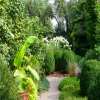 Fanshawe College Arboretum